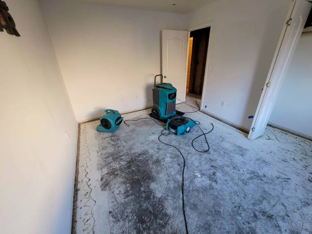 Best Water damage restoration near me  in Burnet, TX