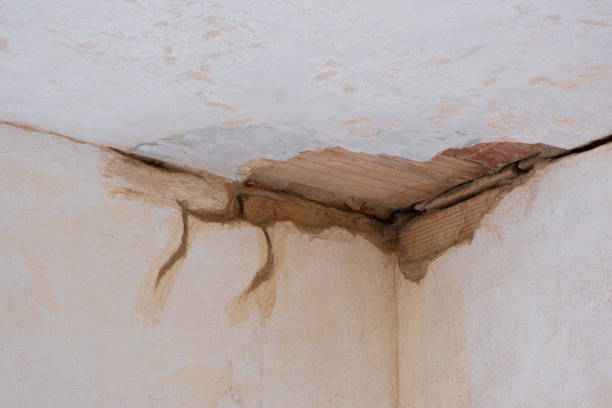 Best Basement water damage restoration  in Burnet, TX