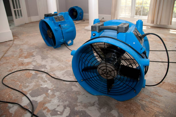 Best Flood damage cleanup  in Burnet, TX