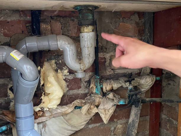 Best Carpet water damage restoration  in Burnet, TX
